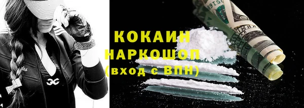 мяу мяу мука Билибино