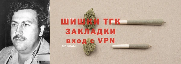твердый Михайлов