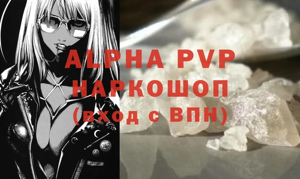 твердый Михайлов