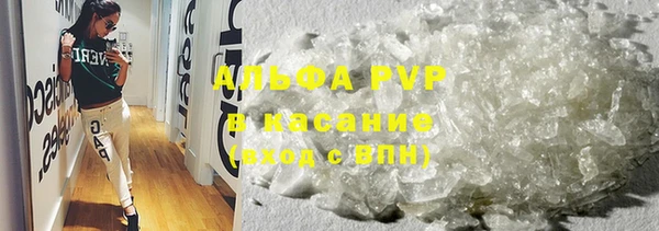 твердый Михайлов
