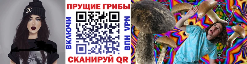купить наркоту mega вход Псилоцибиновые грибы мухоморы Ртищево