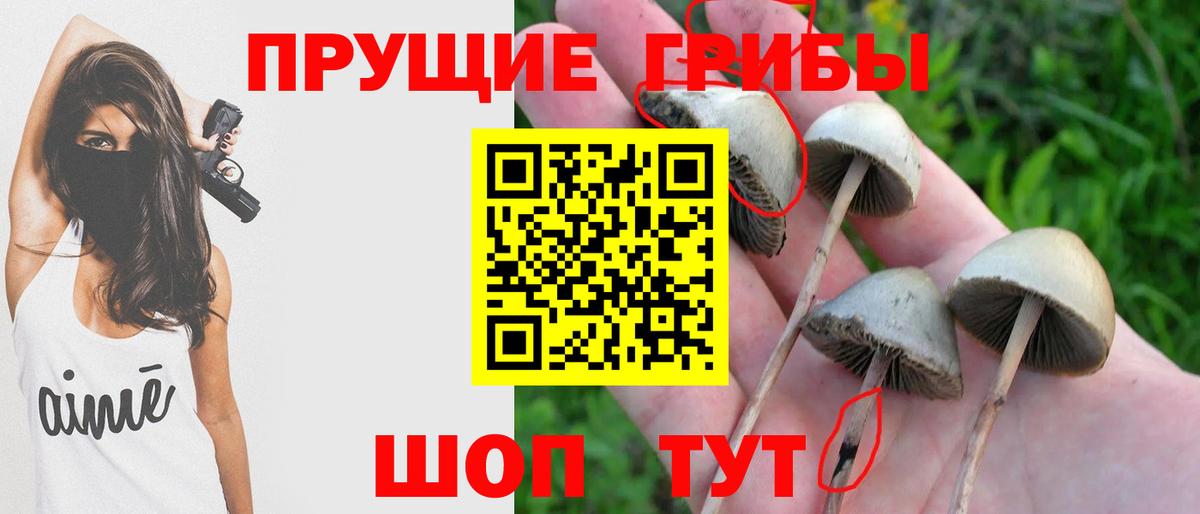 Галлюциногенные грибы мухоморы  Псилоцибиновые грибы MAGIC MUSHROOMS  Вход с VPN  Ртищево 